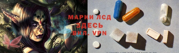 гидра Абаза