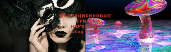 ПСИЛОЦИБИНОВЫЕ ГРИБЫ Абдулино