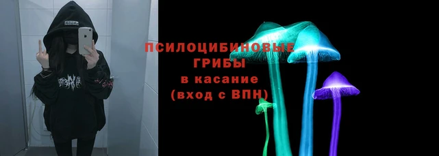 гидра Абаза