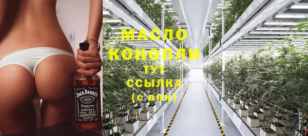 гидра Абаза