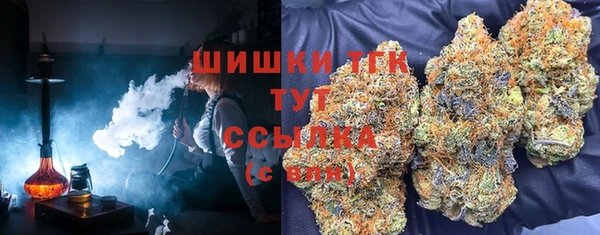 гидра Абаза