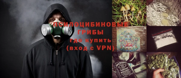 ПСИЛОЦИБИНОВЫЕ ГРИБЫ Абдулино