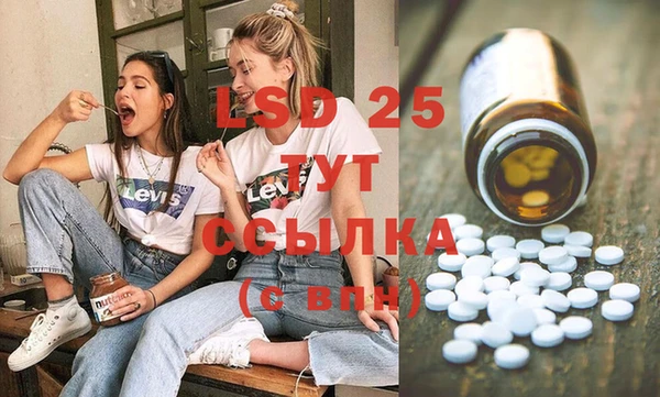 гидра Абаза