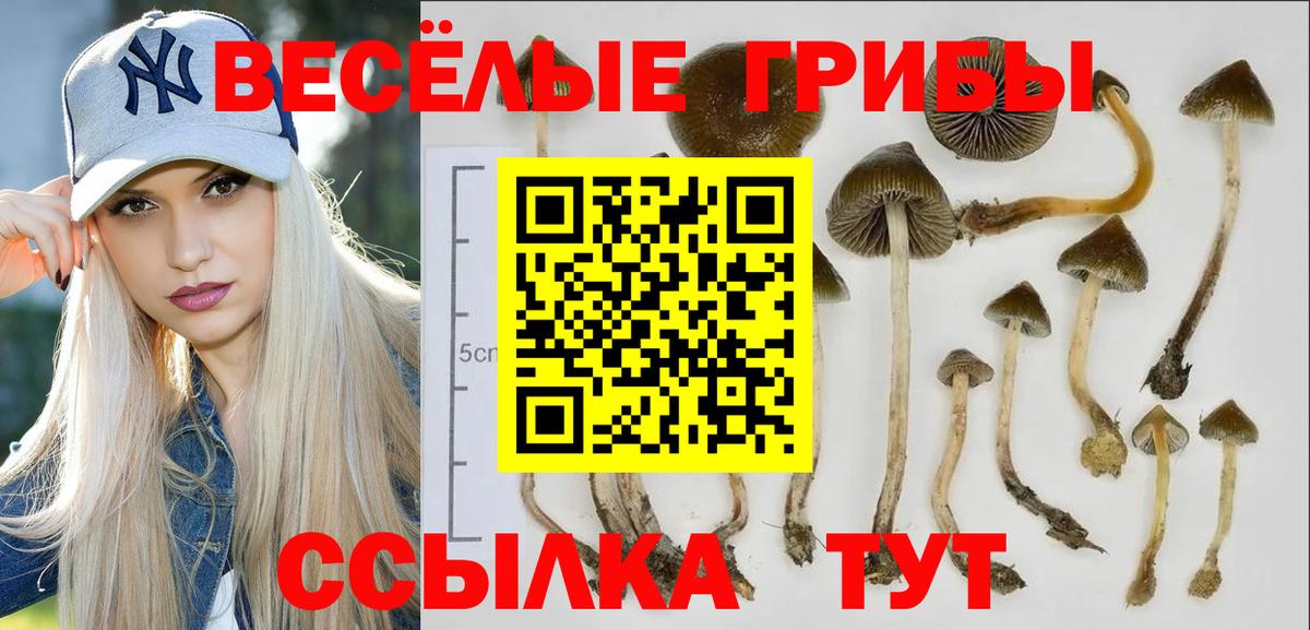 Псилоцибиновые грибы Cubensis  Вход с VPN  Магнитогорск 