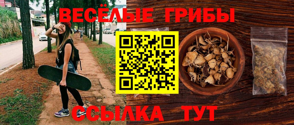 Псилоцибиновые грибы мухоморы Магнитогорск